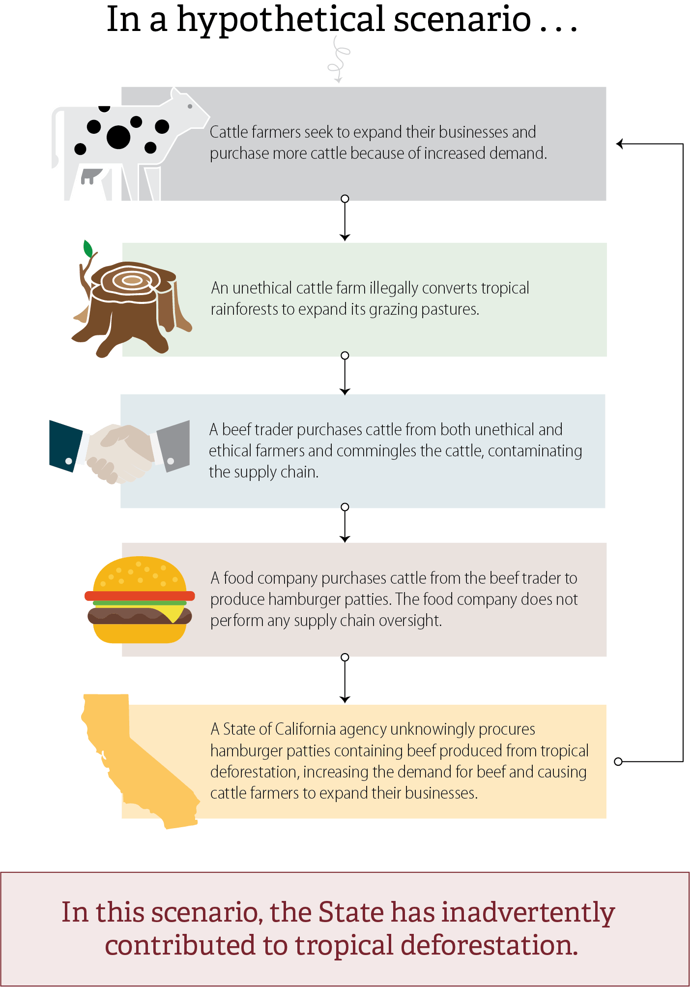 A flow chart using a hypothetical scenario to show how complexities in the supply chain, such as commodity laundering and a lack of transparency, could cause the State to inadvertently contribute to deforestation.