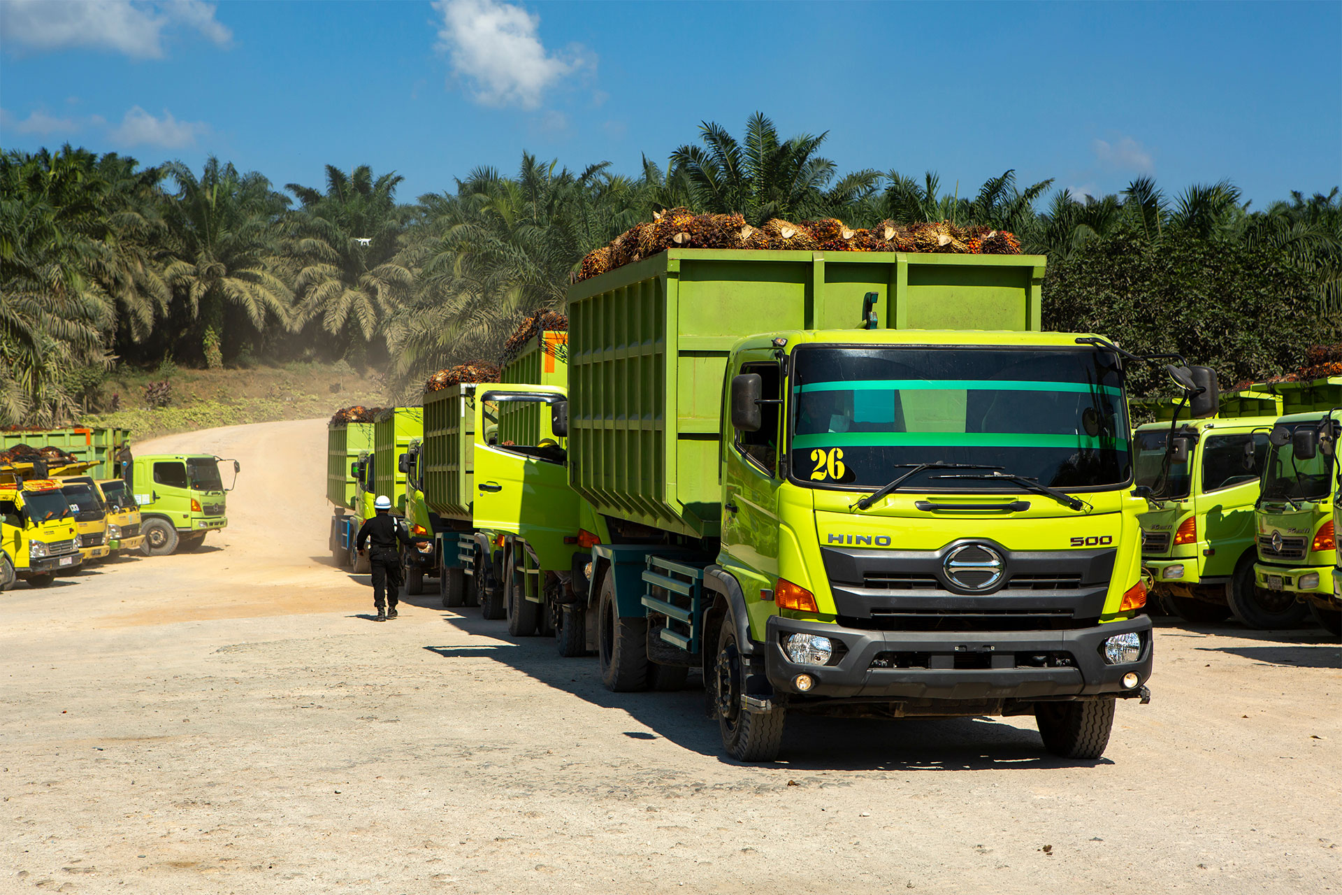 A queue of trucks loading oil palm commodities harvested from oil palm plantations.